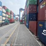 Hoa Nguyen Profile Picture