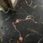 Thai Tu Profile Picture