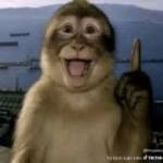 Bao Nguyễn Profile Picture