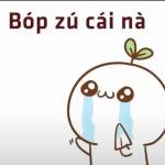 Đạt Trần Profile Picture