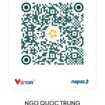 Quốc Trung Profile Picture