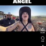 toannn3 Profile Picture