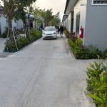 Pitaa Pitaa Profile Picture