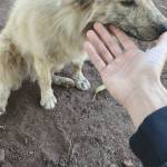 henry777879 Profile Picture