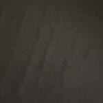 Nguyễn văn Trần Profile Picture