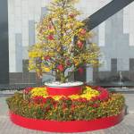 Phu Nguyen Profile Picture