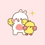 Nam Hà Profile Picture