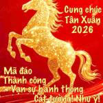 Chien Van Profile Picture