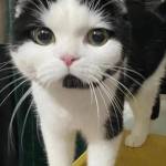 Nhokken911 Profile Picture