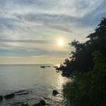 phong bui Profile Picture