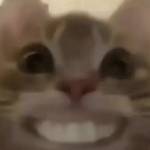 Phúc Nguyễn Profile Picture