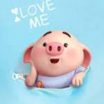 heokon Profile Picture