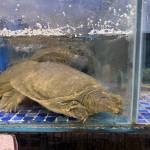 anhhihi99 Profile Picture