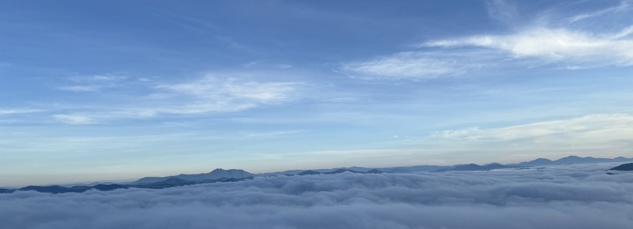 Trung Nguyễn Cover Image