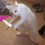 Lâm Huỳnh Profile Picture