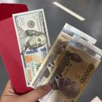 Anh Phan Profile Picture