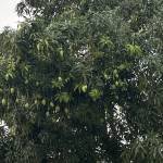 Tu Le Profile Picture