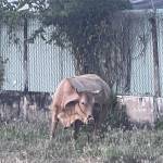 Tai Nguyen Profile Picture