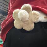 duy Minh Profile Picture