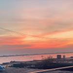 Việt Lê Profile Picture