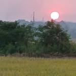 Tung Le Profile Picture