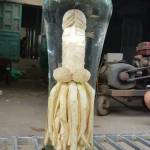 Trung Tran Profile Picture