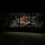 Nguyen Hoang Profile Picture