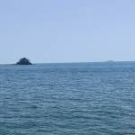 Huy Nguyễn Profile Picture