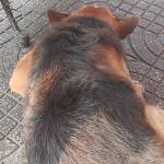 Chánh Minh Profile Picture