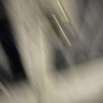 Lam Trương gia Profile Picture