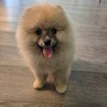 sole sole Profile Picture