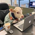 muangau_denroi Profile Picture