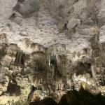 Nnguyen Profile Picture