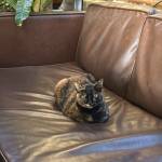 Yeta Play Profile Picture