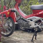 Nhã Huỷnh Profile Picture