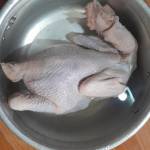 Công Nguyễn Profile Picture