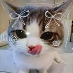 Hoàng Hùng Profile Picture