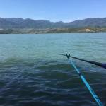 Duc Moi Profile Picture