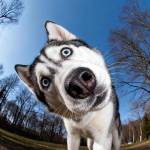 Khang Nguyễn Profile Picture