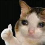 mạnh phạm Profile Picture