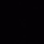 Nam Tao Profile Picture