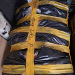 Phuong Tran Profile Picture