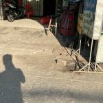 Nhân Bùi Profile Picture