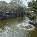 Minh2012001 Profile Picture