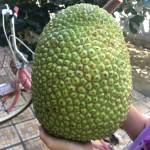 Tan Dang Profile Picture