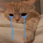 Kaj Ngoc Profile Picture