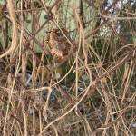 Long Hoàng Profile Picture