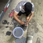 levantao nguyenvandat Profile Picture