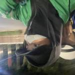 le hieu Profile Picture