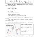 Trần Phan Profile Picture